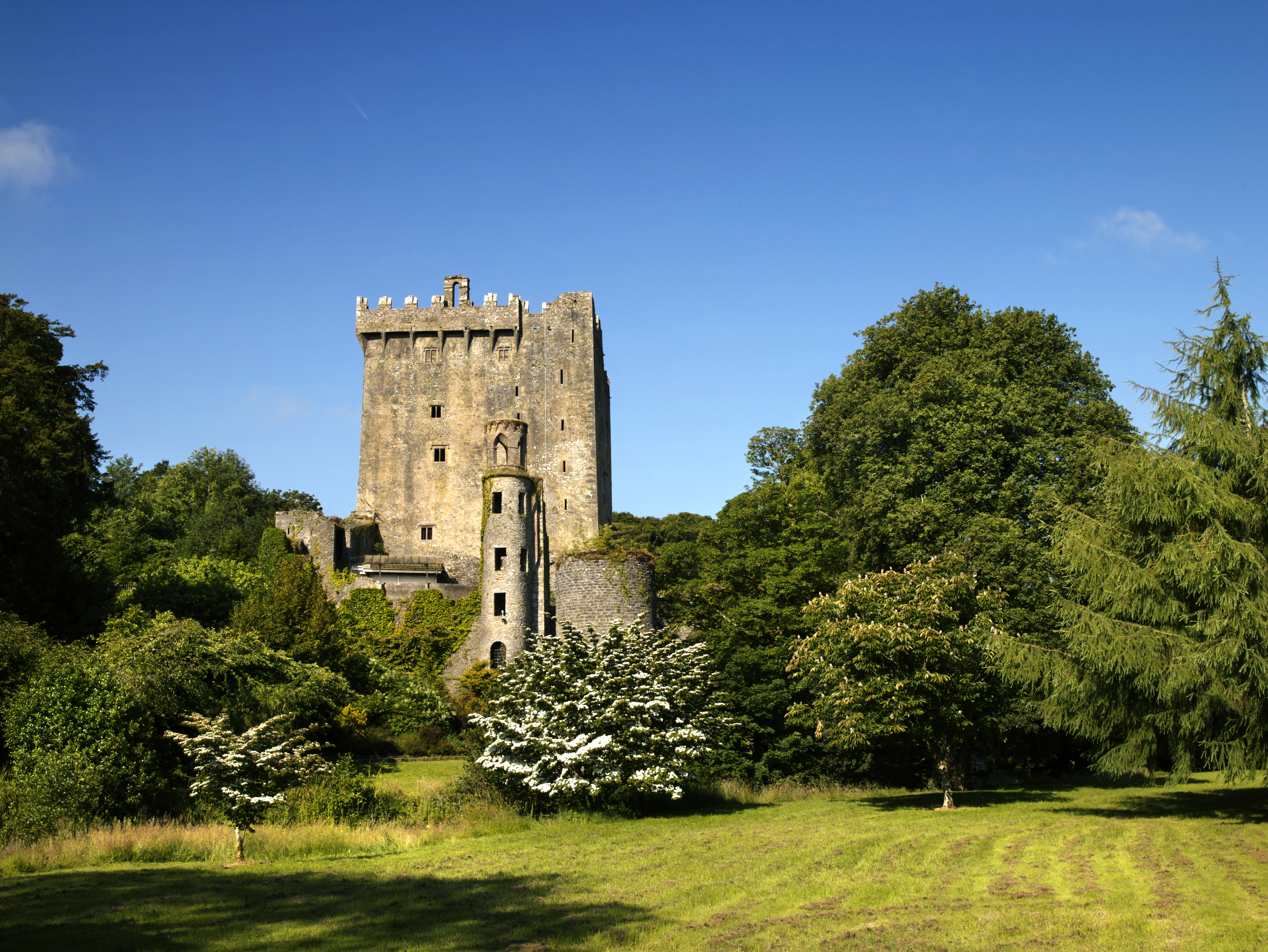 Blarney Castle in County Cork, a medieval castle in the sunshine surrounded by greenery