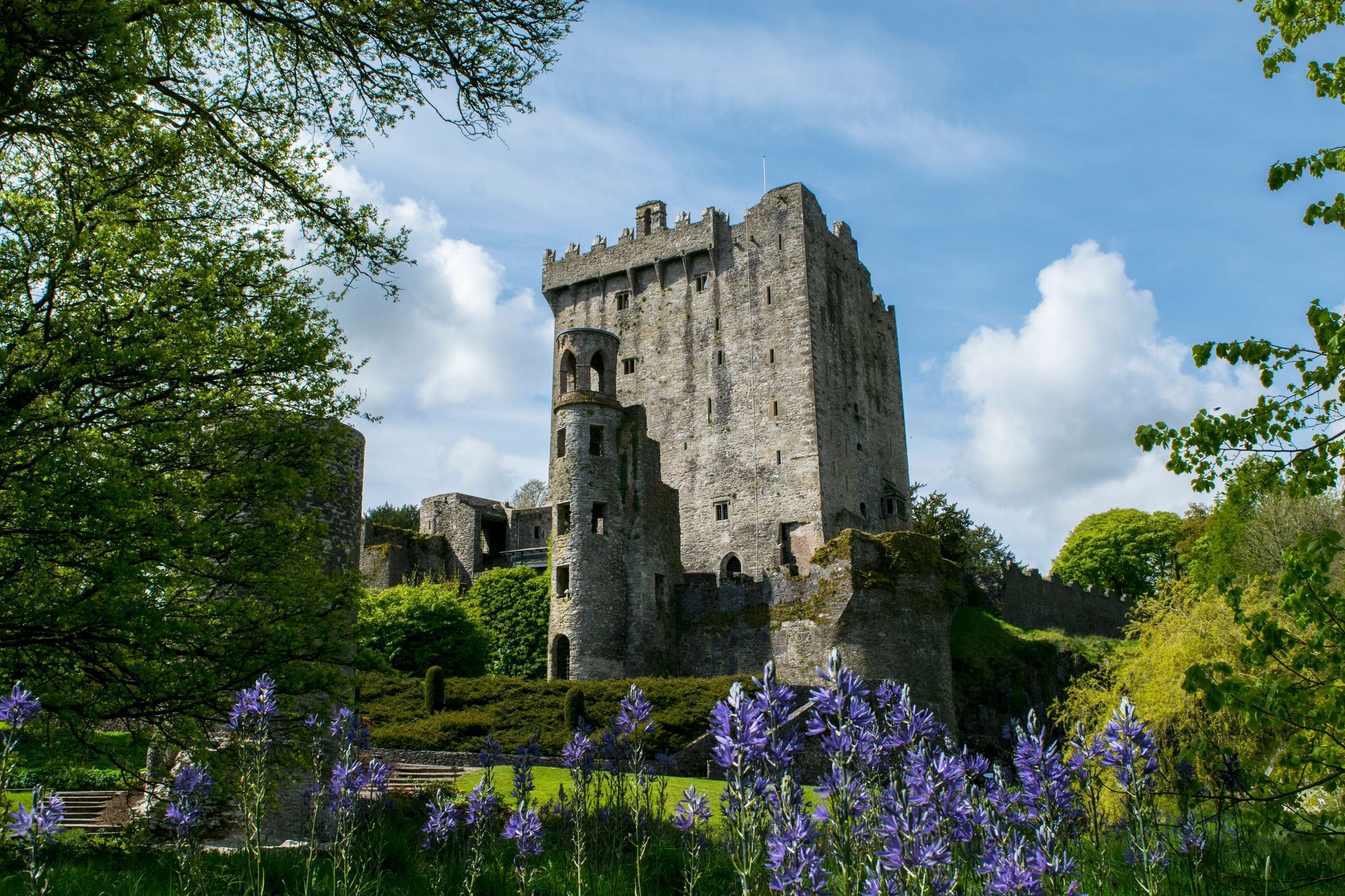 Blarney Castle with flowers in front